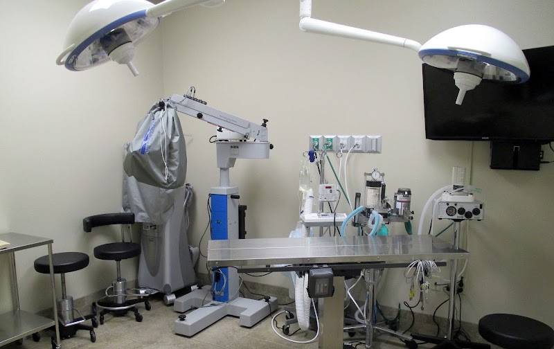 Baton Rouge Veterinary Referral Center, A Thrive Pet Healthcare Partner